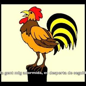 imatge_presentacio
